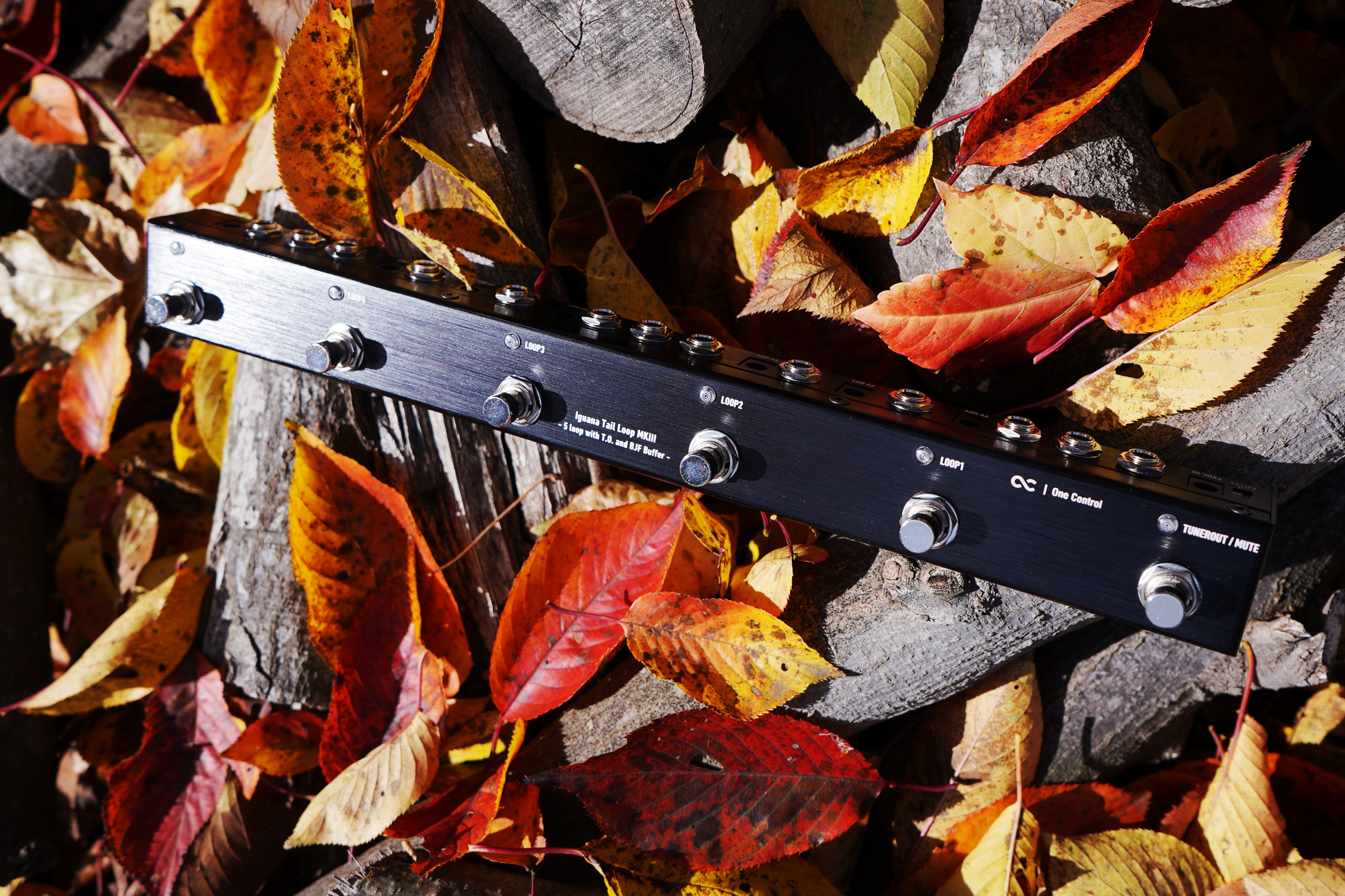 One Control Iguana Tail Loop MKIII - 5 loop with T.O. and BJF