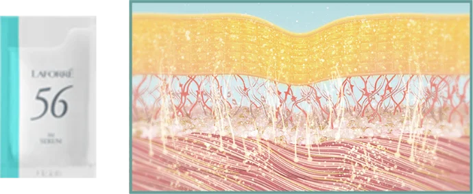 ラフォーレ インナーマッスル トリートメント｜laforre