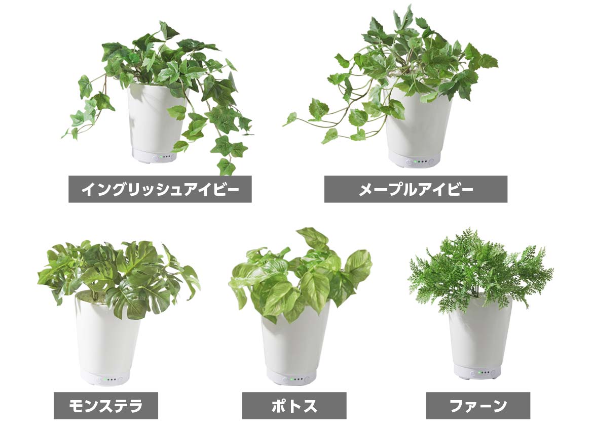 LITHON-GREEN AROMA MIST