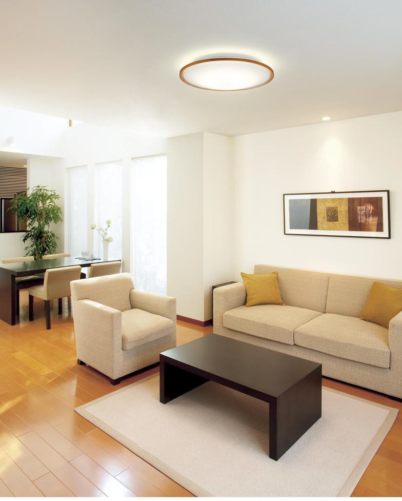 ODELIC オーデリック LED シーリングライト OL291323NGR | 商品紹介