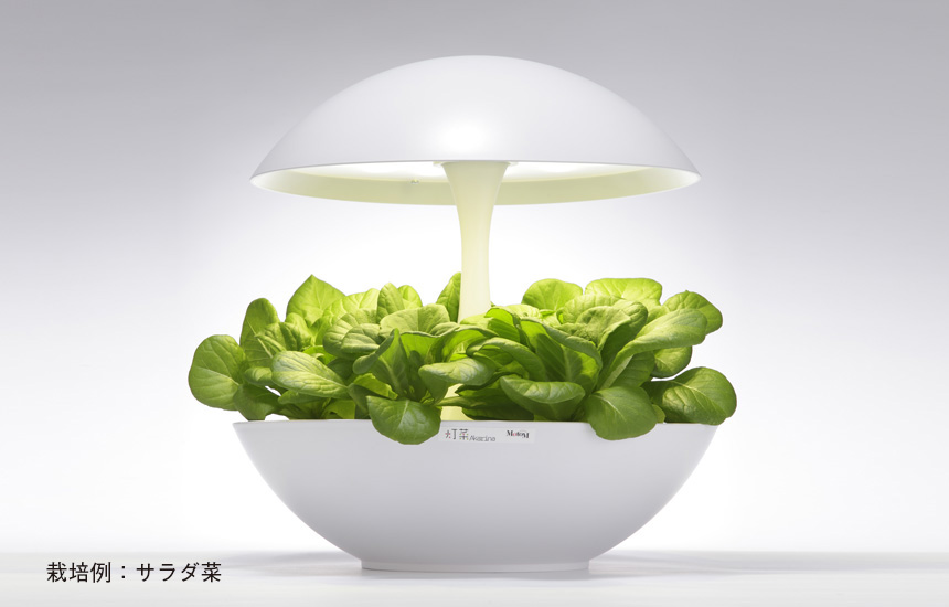Akarinaで野菜が作れるの？Akarinaの水耕栽培機のご紹介 | おしゃれ