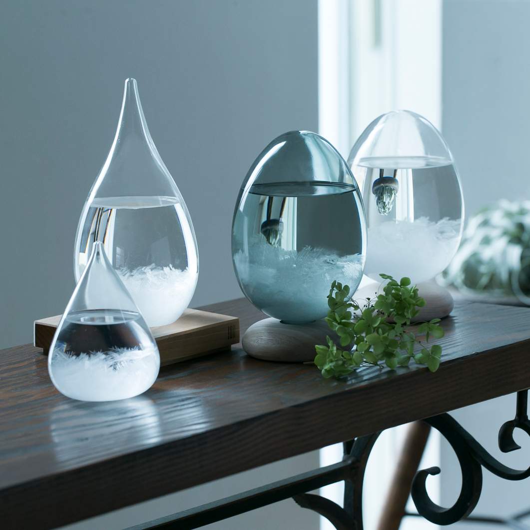 テンポパルス ドーン(ドーン)：ホーム