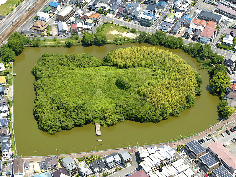 百舌鳥古墳群】超ド級、世界最大の王墓へ！世界遺産の立役者・考古学者