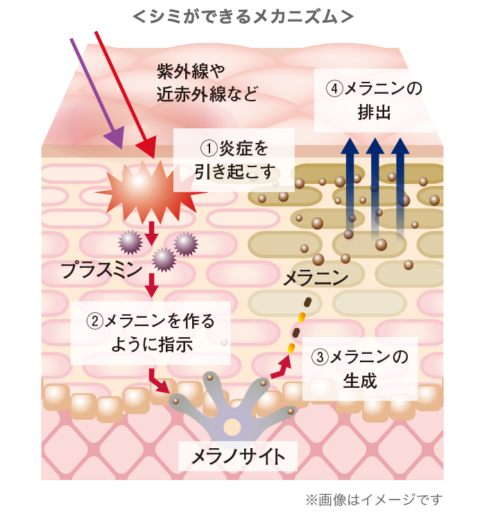 公式]美白※美容液 リプレイズホワイトニング | マキアレイベルの