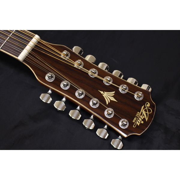 新品 Aria(アリア) ／ FET-DLX／12 LVS 12弦 エレアコ 多弦ギター の