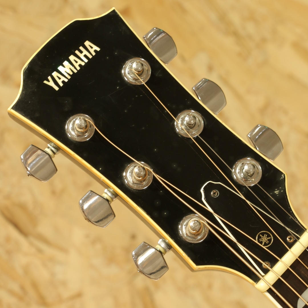 CJ-8XE 1982: アコースティックギター｜三木楽器公式通販サイト