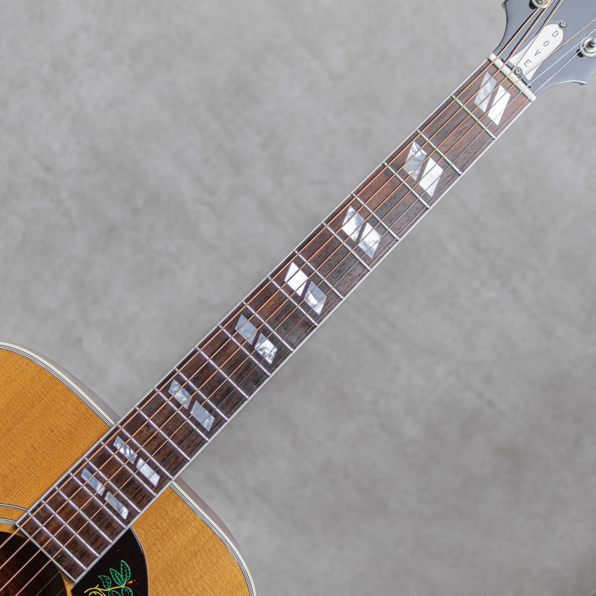 Dove / 2001: アコースティックギター｜三木楽器公式通販サイト