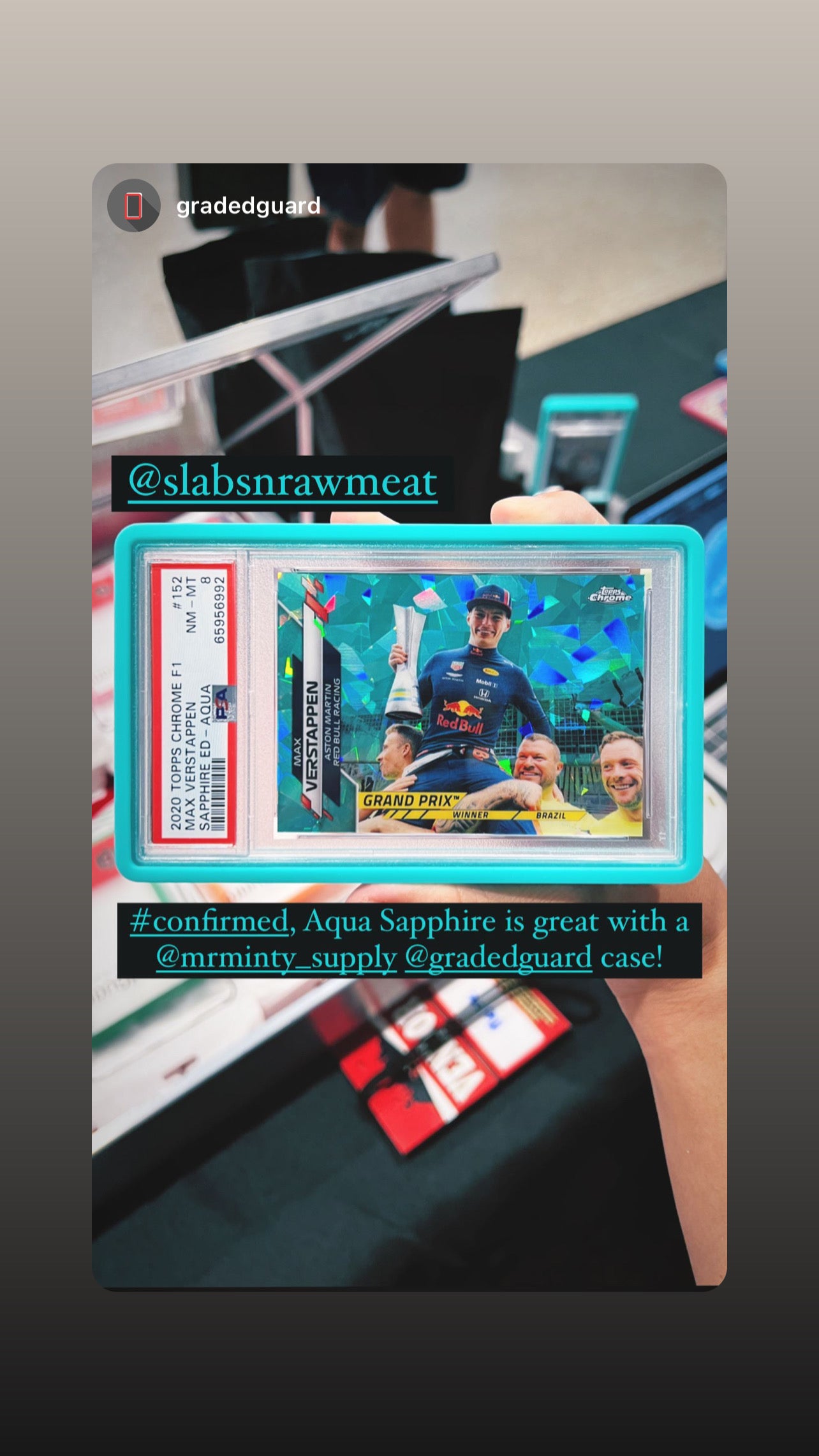 GRADED GUARD X MR. MINTY - GRADED CARD CASE – Mr. Minty