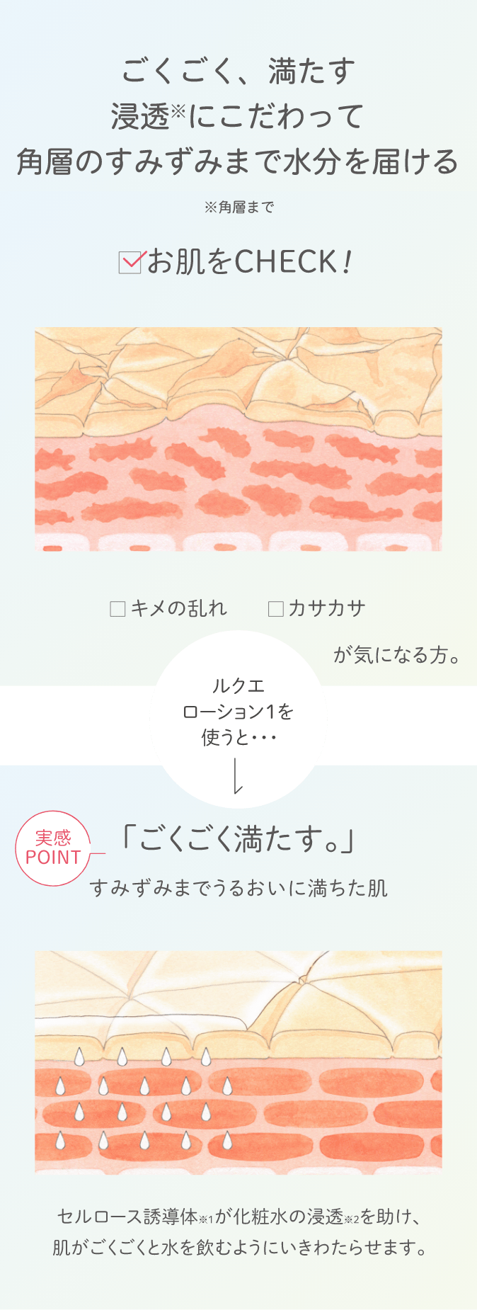 ローション 1 つめかえ用: シリーズから探す / ナリスオンラインストア