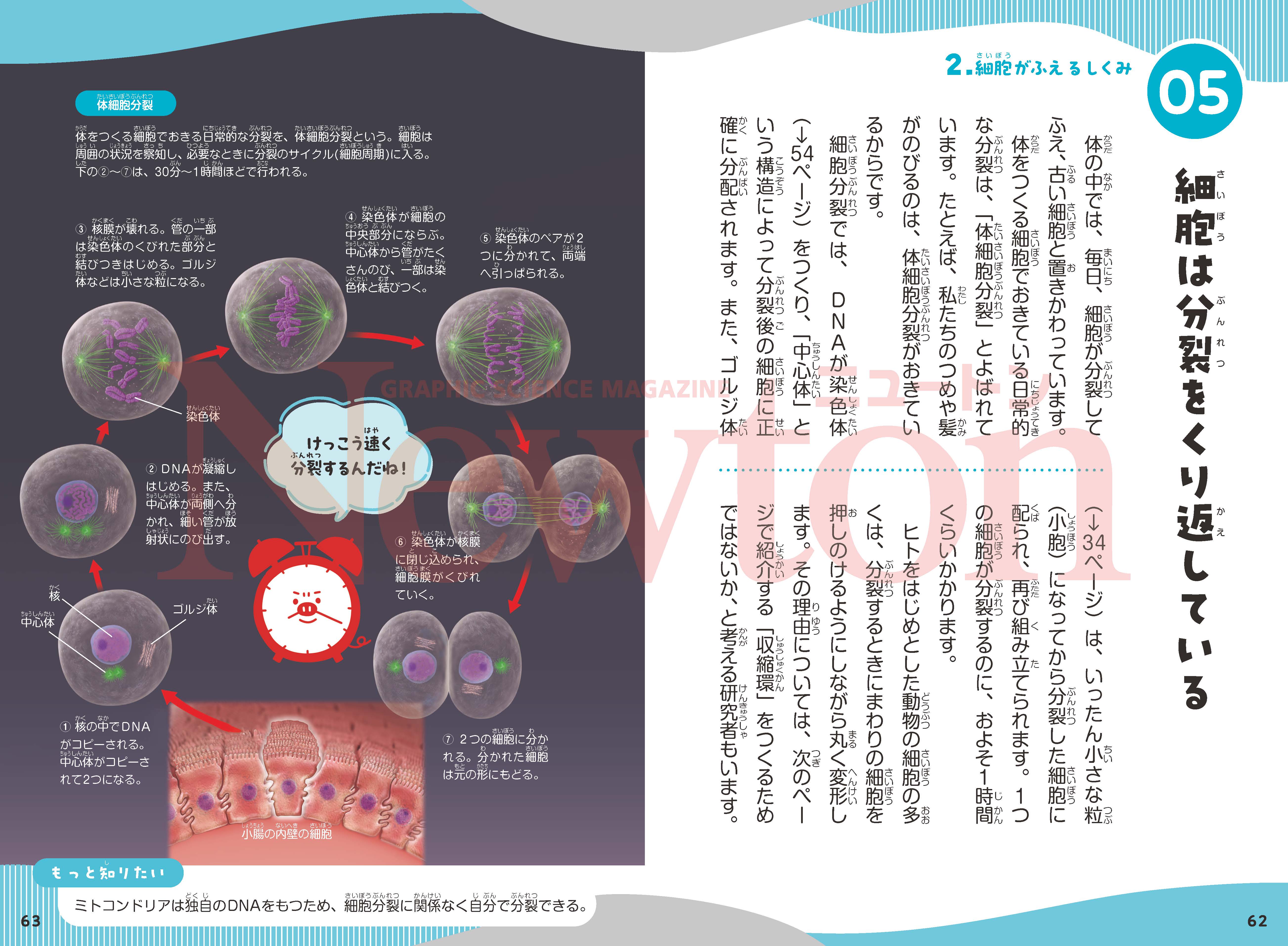 ニュートン科学の学校シリーズ 細胞の学校 | ニュートンプレス