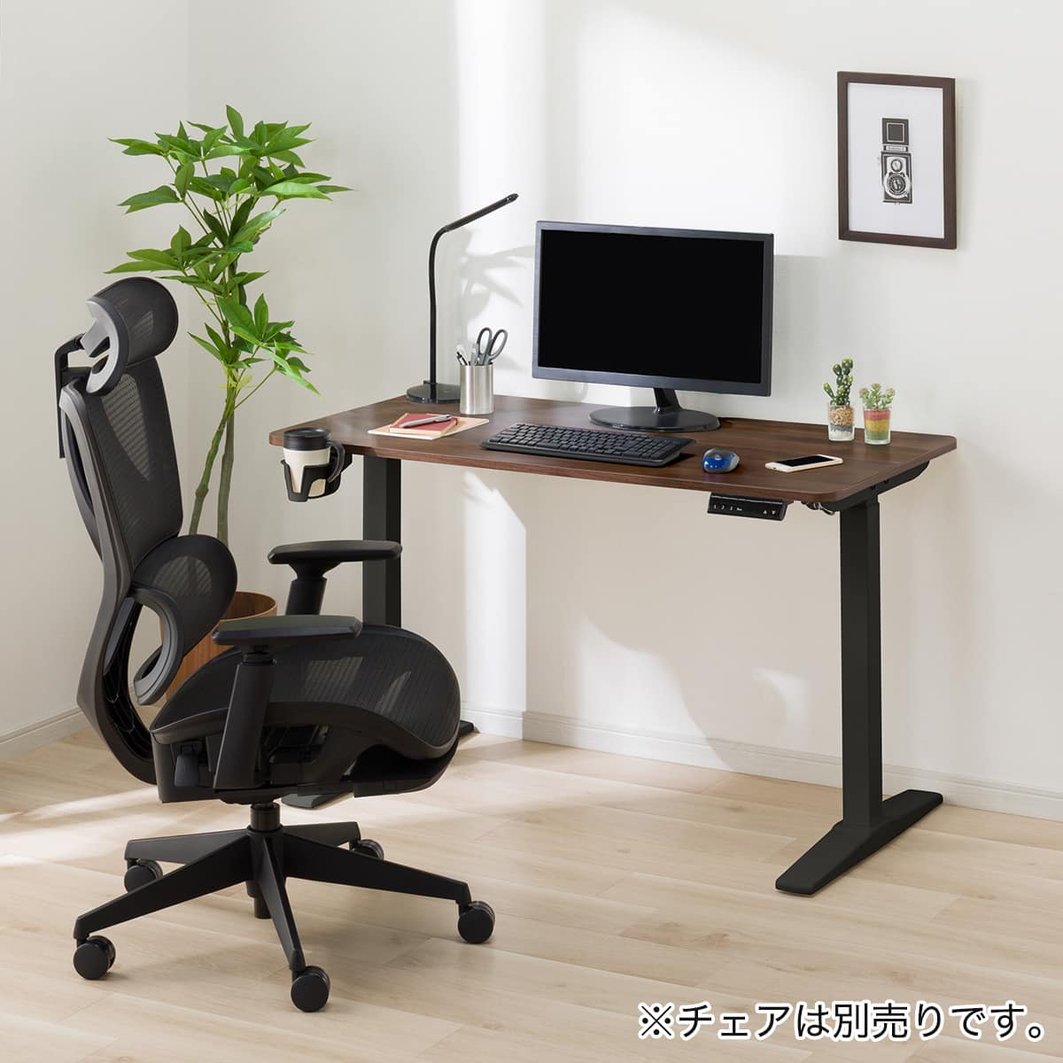 ニトリネット【公式】 家具・インテリア通販