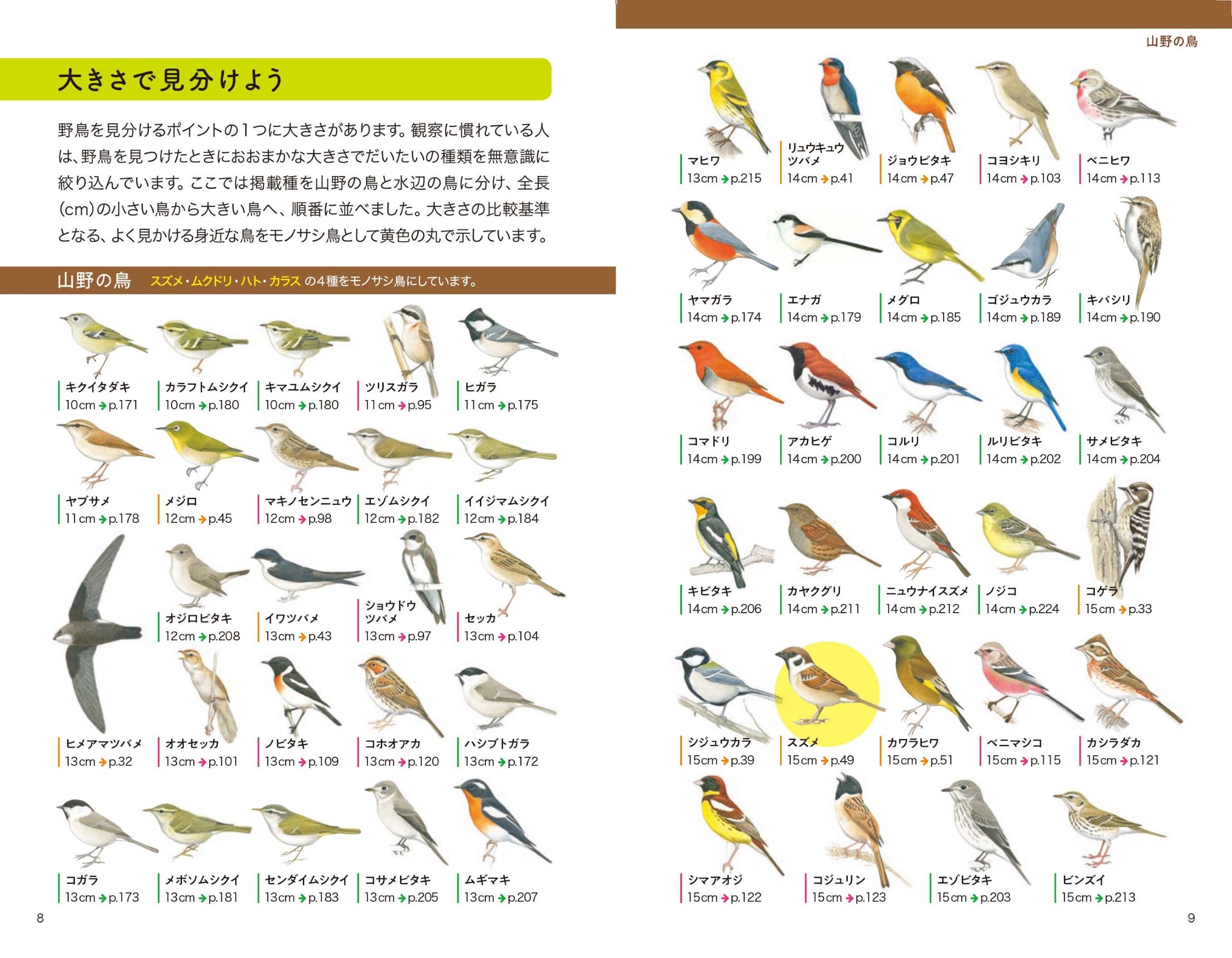 新分類改訂版 野鳥図鑑 - 株式会社日本文芸社