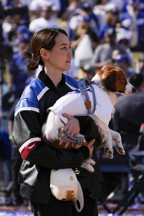 大人気デコピン ドジャースもデコピンを祝福「デコイ、あなたは