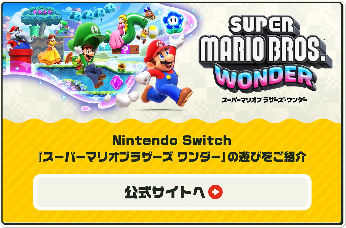スーパーマリオブラザーズ ワンダー Nintendo Switch 2 Edition +