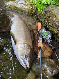 Troutin'Cast TACTIST