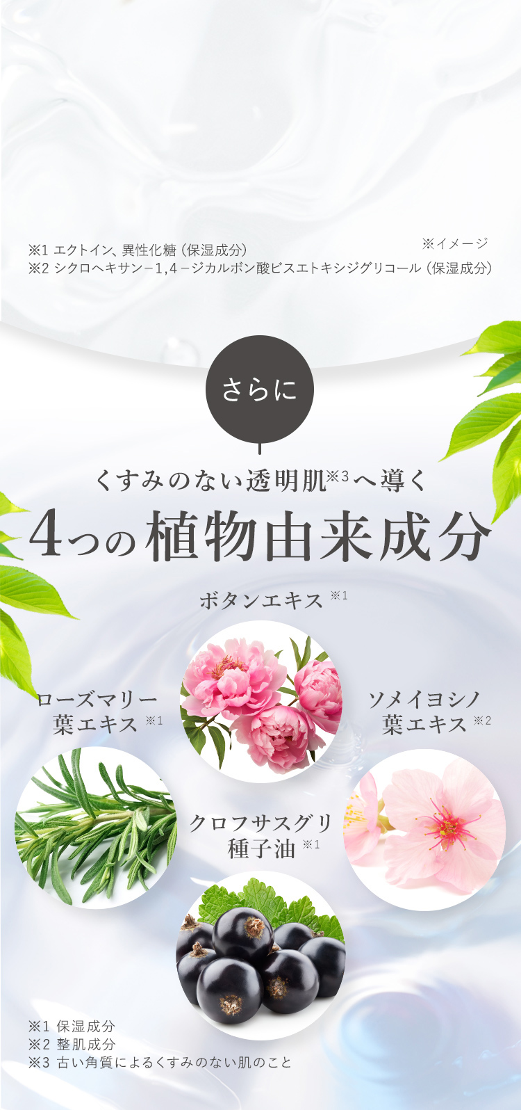 草花木果 メイク落としオイル N / キナリ公式ショッピングサイト