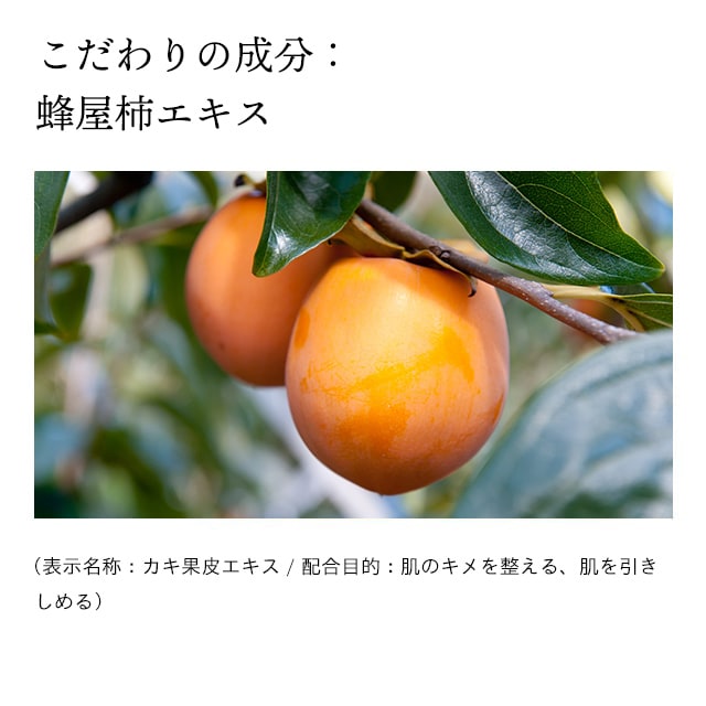 ドモホルンリンクルの『洗顔石鹸』の商品詳細と使い方｜基礎化粧品