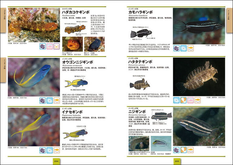 改訂新版 海水魚 ひと目で特徴がわかる図解付き | 株式会社誠文堂新光社