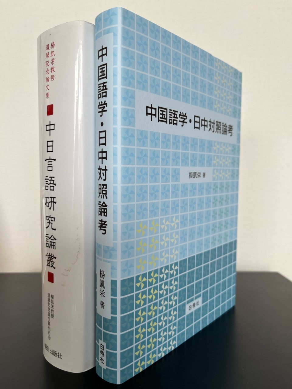 楊凱栄 | 専修大学国際コミュニケーション学部日本語学科