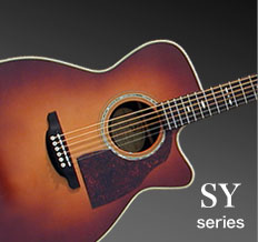 ギターショップ シェリー Shelly | シェリーギター