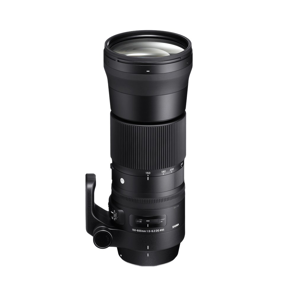 150-600mm F5-6.3 DG OS HSM | LENSES | Sigma