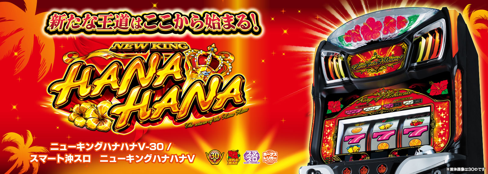 株式会社パイオニア | スロットマシンの企画・開発・製造・販売