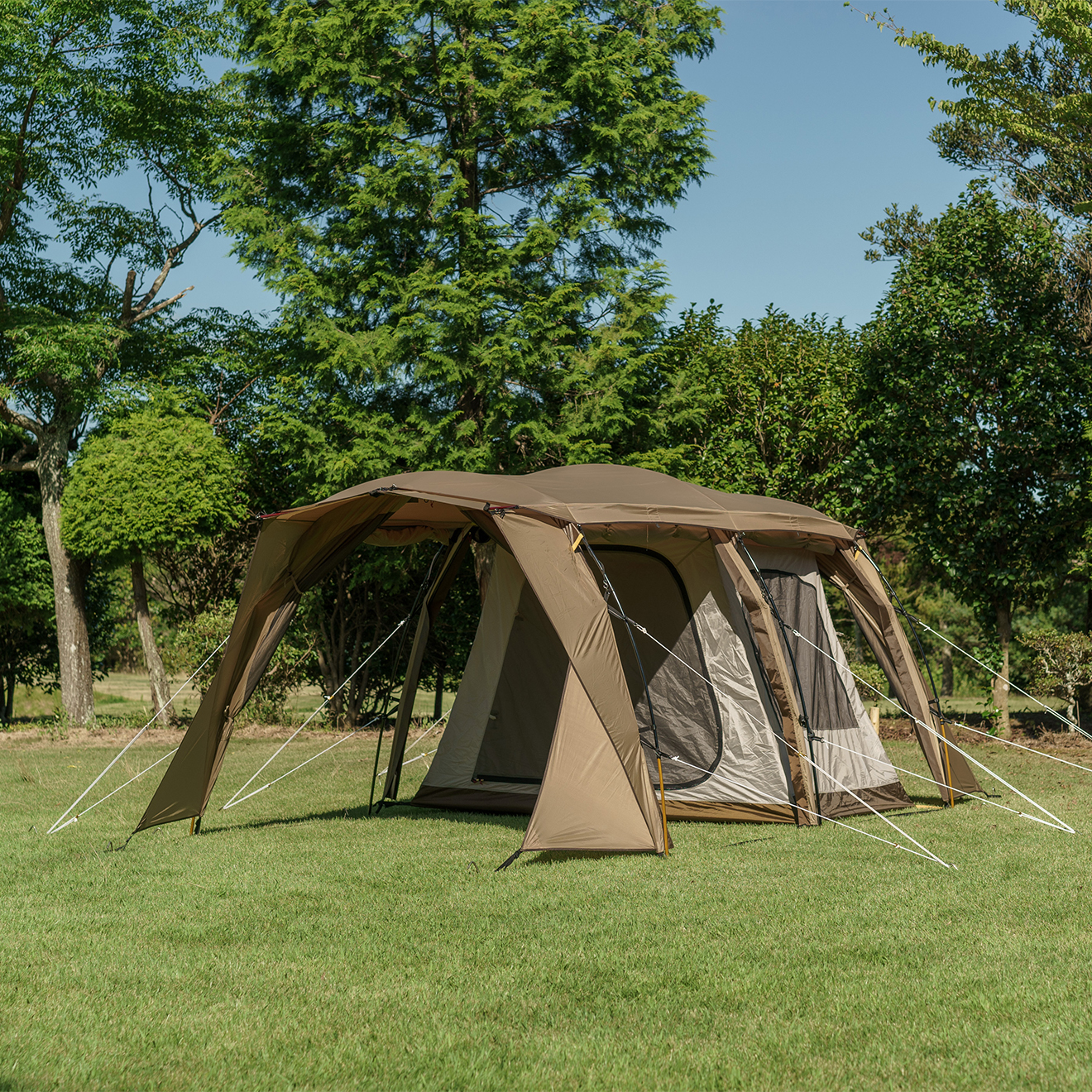 OUTLET】アポロンS / ogawa ONLINE STORE