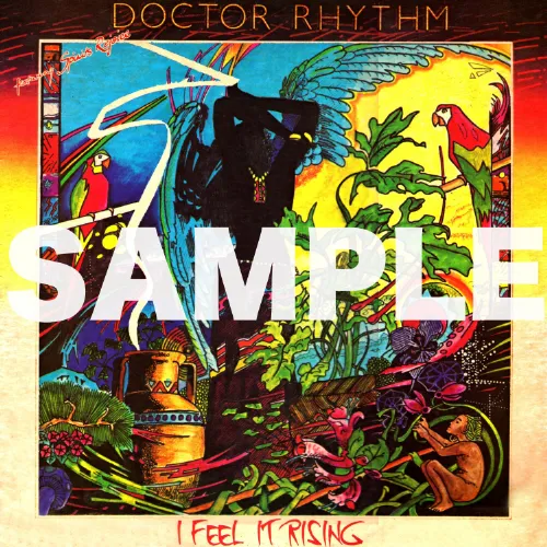 DOCTOR RHYTHM / I FEEL IT RISING [LP - HNGR4]：JAZZ：アナログ