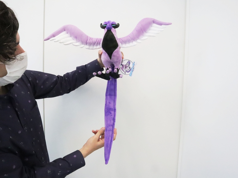 冠の雪原」で活躍するポケモンたちのぬいぐるみがポケモンセンターに