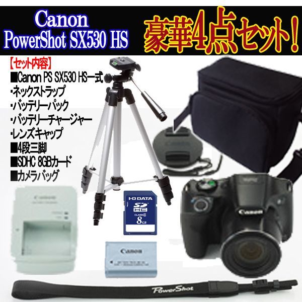 キヤノンPowerShot SX530 HS［豪華4点セット］TEL-10-4S