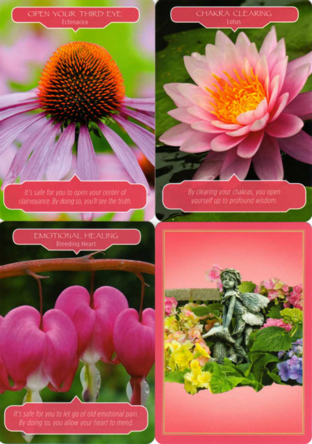 フラワーセラピーオラクルカード』（専用日本語解説書付き） 商品詳細