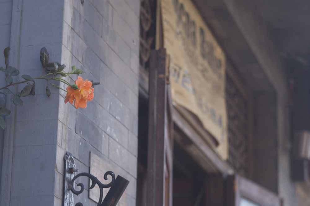 絵画のような描写のレンズ3(ロス エクスプレス 75mm f3.5) - 写真