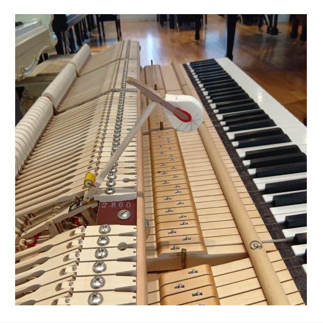 株式会社ピアノプラザ | FAZIOLI F212(212X)