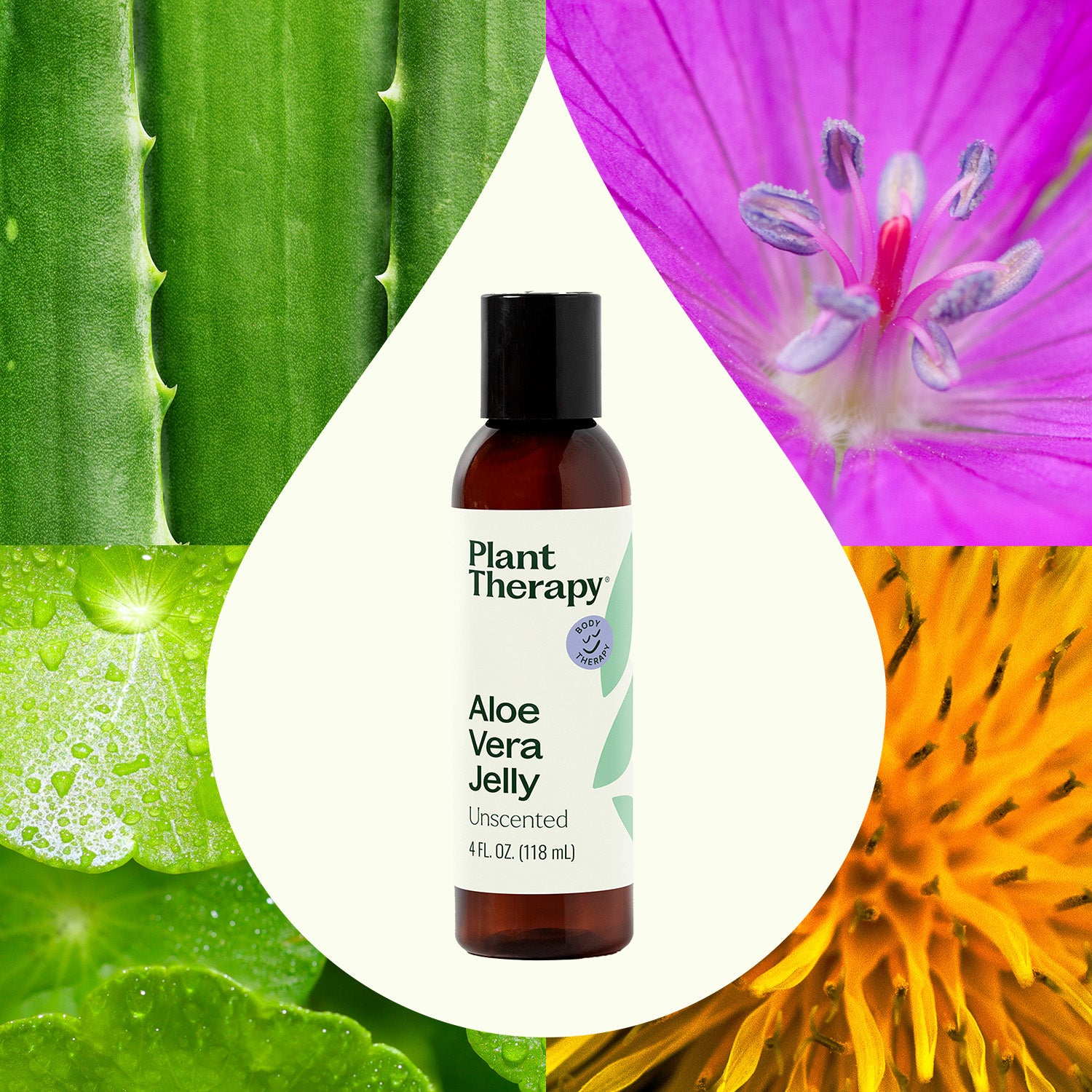 Aloe Vera Jelly Unscented – Plant Therapy