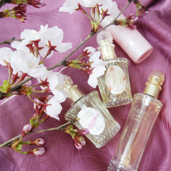 Cherry Blossom / チェリーブロッサム