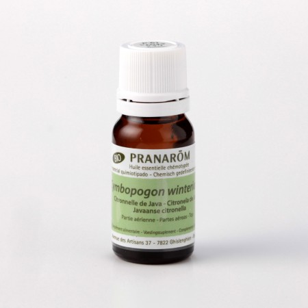 シトロネラ・ジャワ – プラナロム エッセンシャルオイル・精油｜健草医学舎
