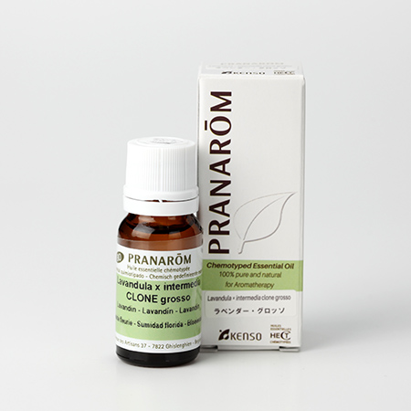 ラベンダー・グロッソ – プラナロム エッセンシャルオイル・精油｜健草