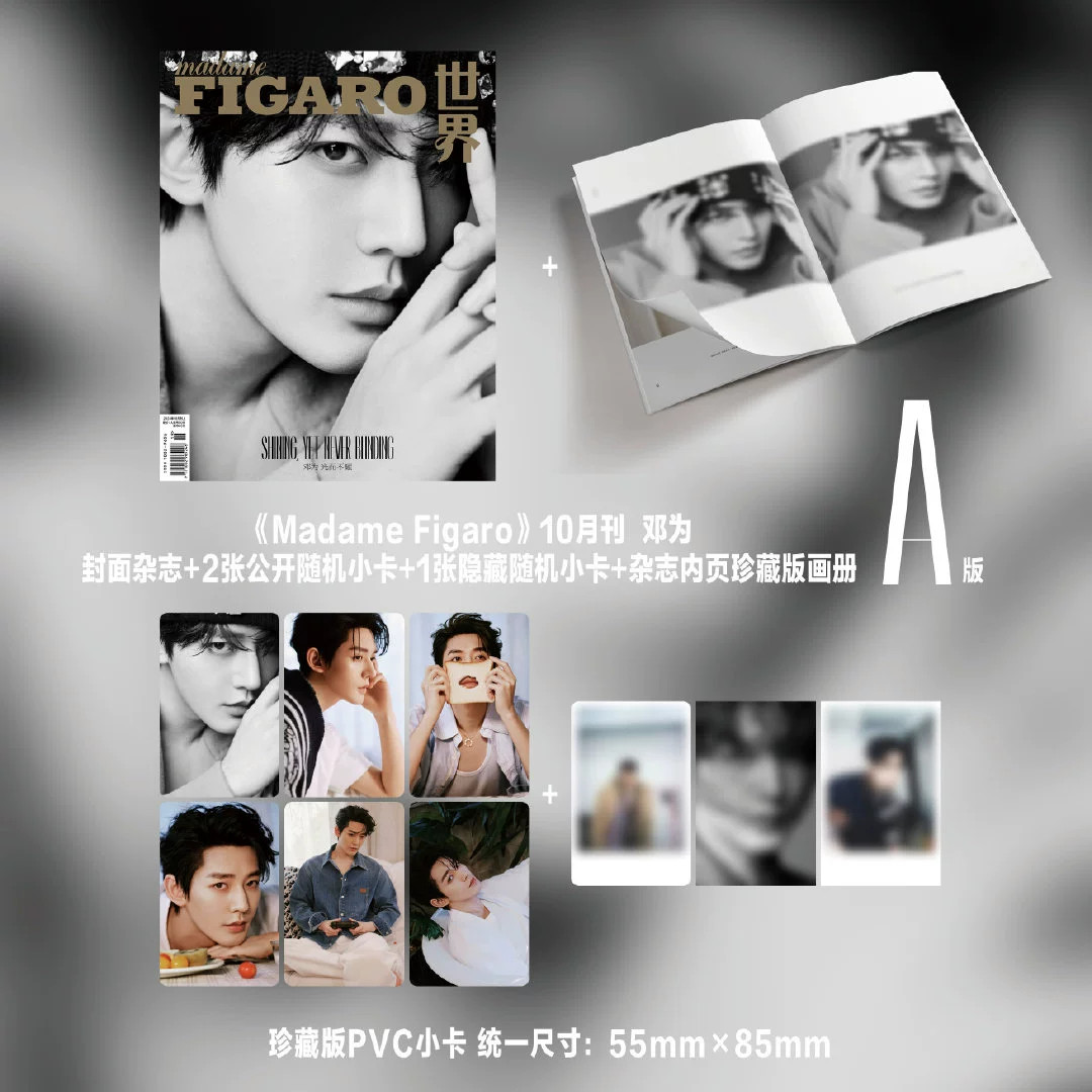 中国雑誌 費加羅 『Madame Figaro 費加羅 2024年10月A版（鄧為、公式