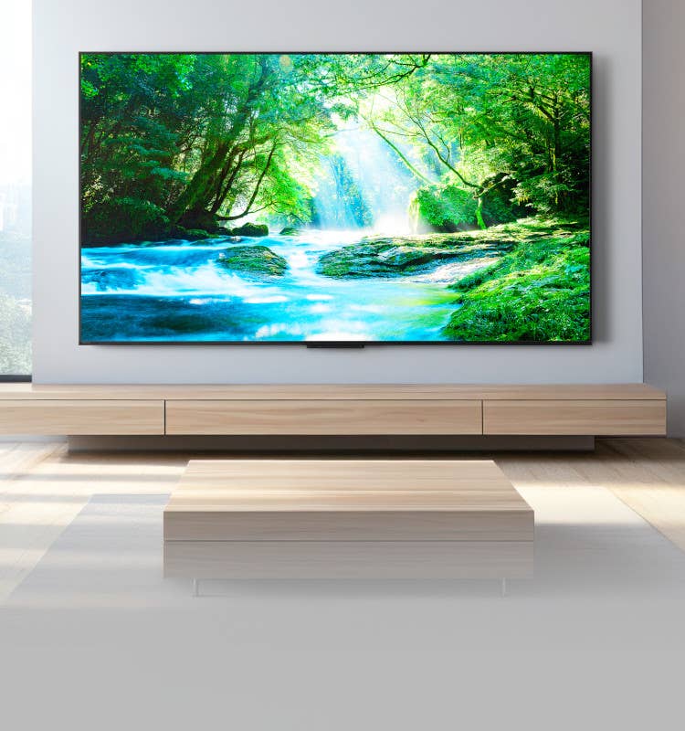 REGZA テレビ　映ります 大画面に憧れるのをやめましょう！ レグザ、「手が届く大画面」を複数