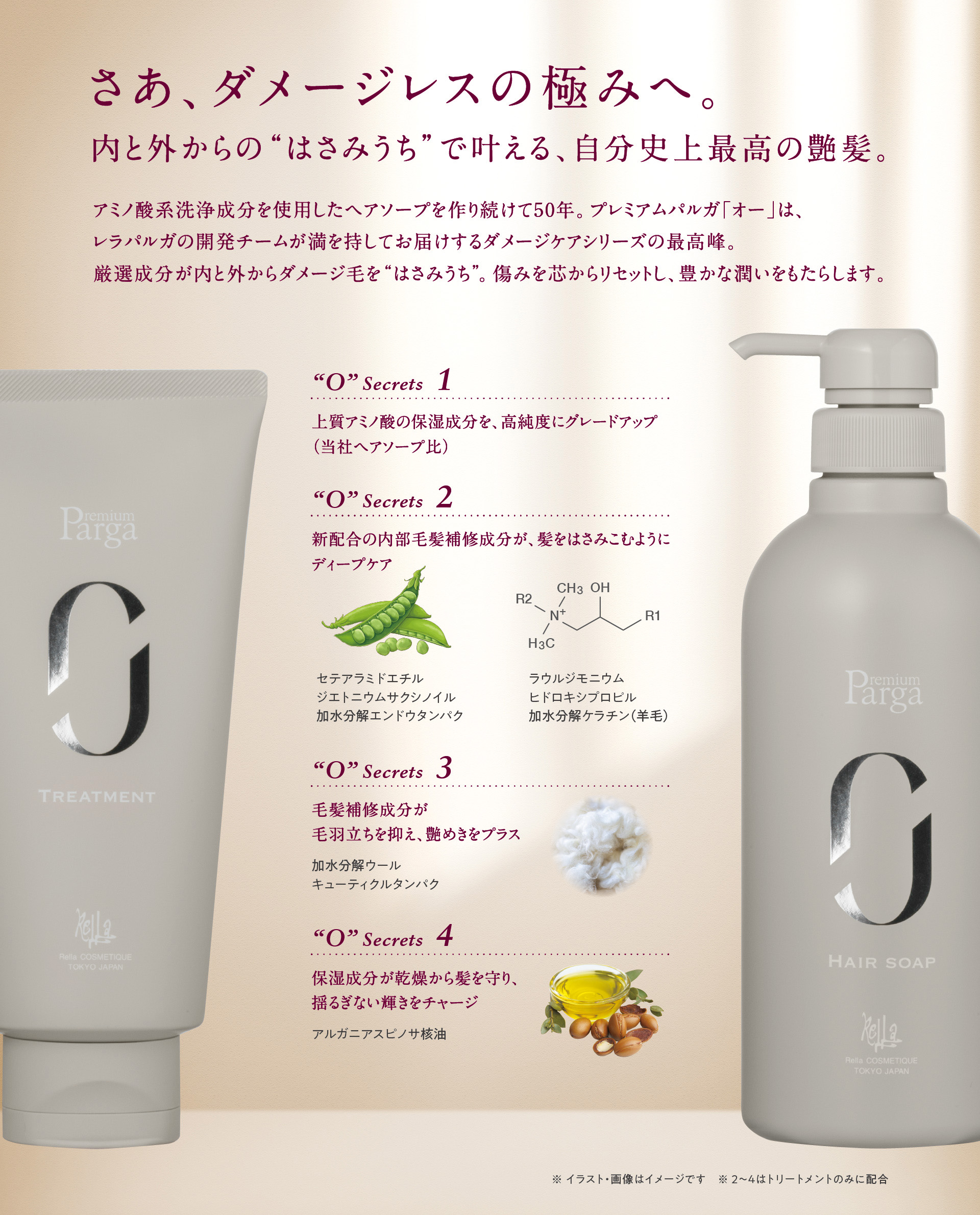 プロ仕様のサロン専売アミノ酸系シャンプー レラパルガ