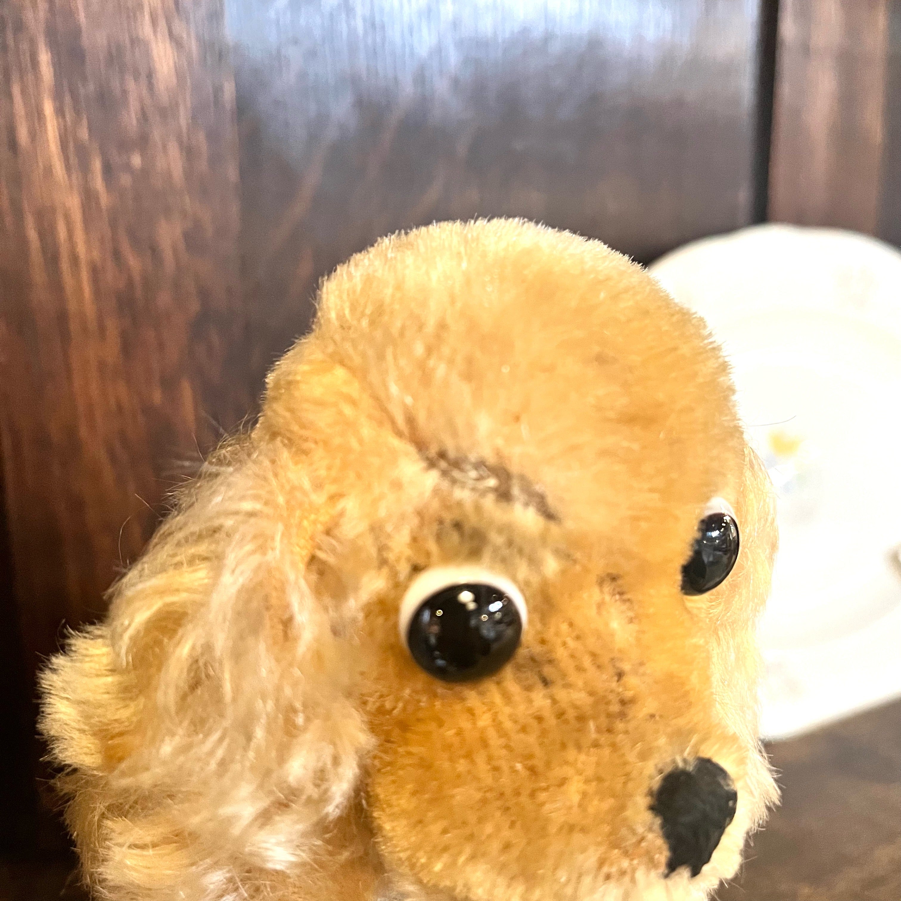 シュタイフ / Steiff 見つめる スパニエル ぬいぐるみ ドイツ