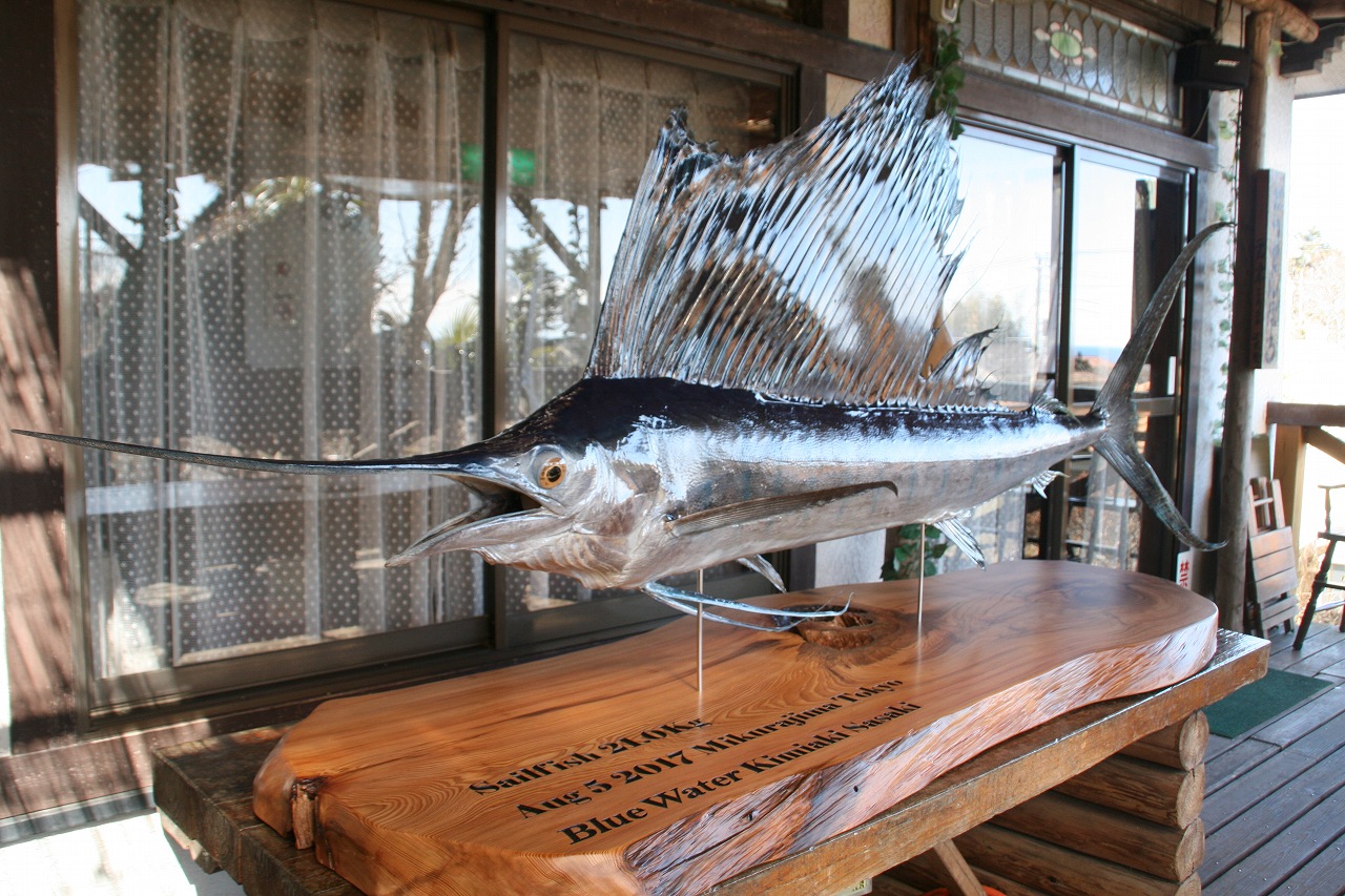 魚類剥製工房＜リアルアート岩井＞