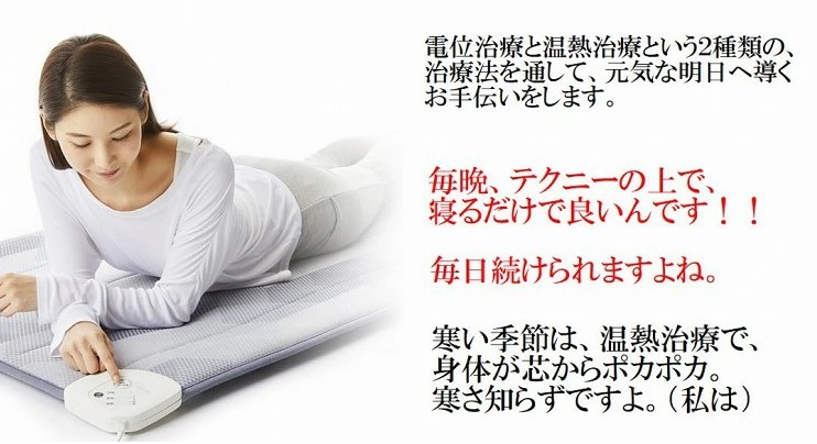 ローズテクニーLSⅡ 西川 ｜岐阜県寝装のわた勇