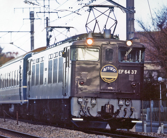 JR EF64-0形電気機関車（37号機・茶色） ｜製品情報｜製品検索｜鉄道