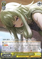 ムキムキになっちゃった！？【ヴァイスシュヴァルツトレカお買得価格