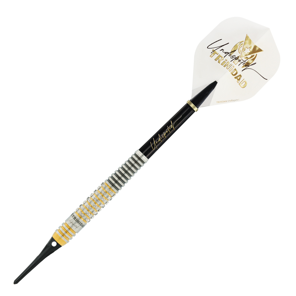 ダーツ バレル TRiNiDAD Undisputed RICARDO α 浅田斉吾 選手モデル
