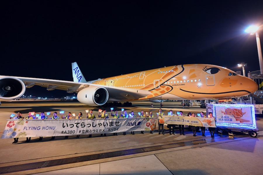 10/16 New…!!フライングホヌ／オレンジBig size1/150 10/16 New