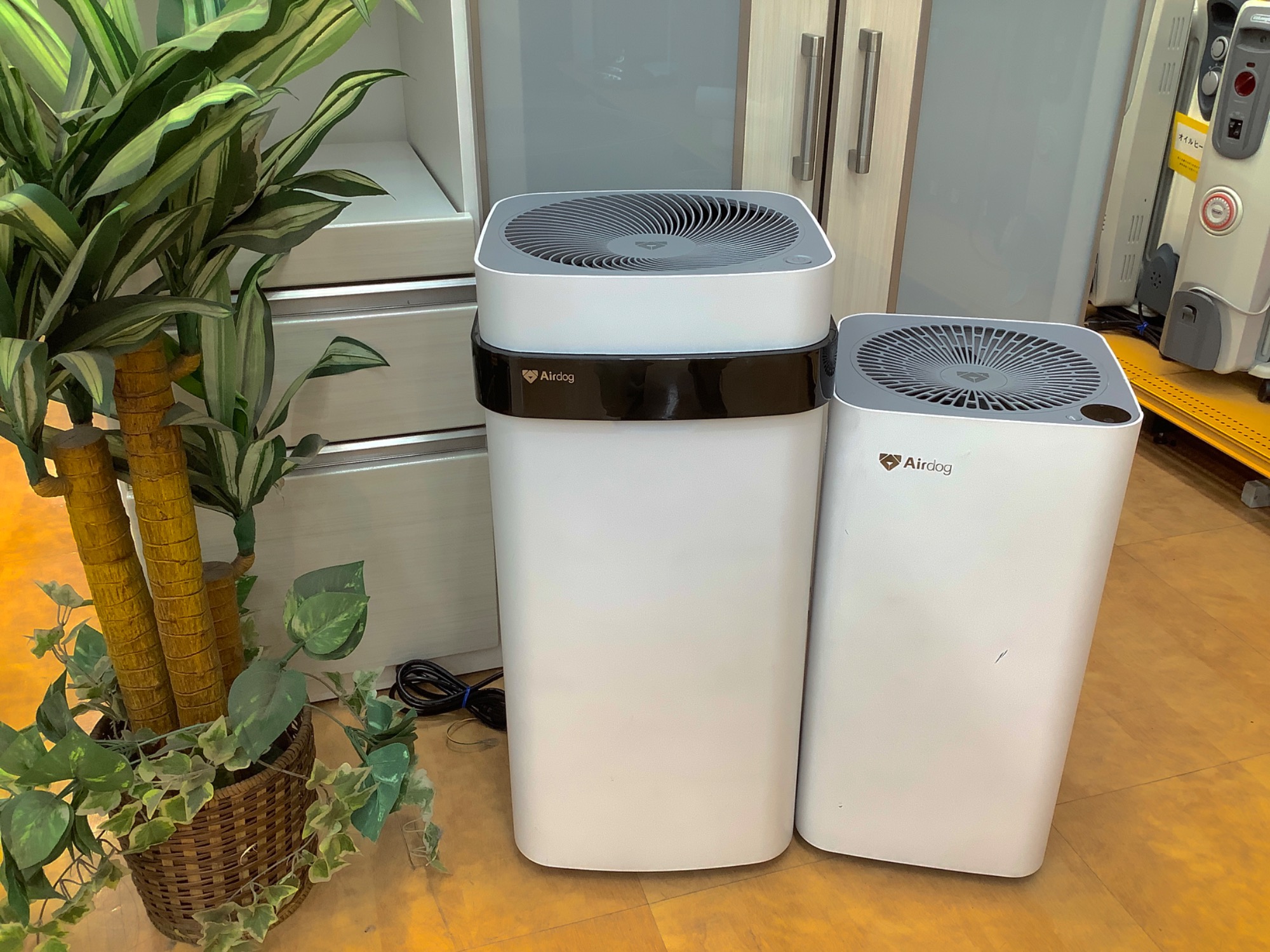 高性能】AIRDOG（エアドッグ）空気清浄機をご紹介！｜2023年01月04日