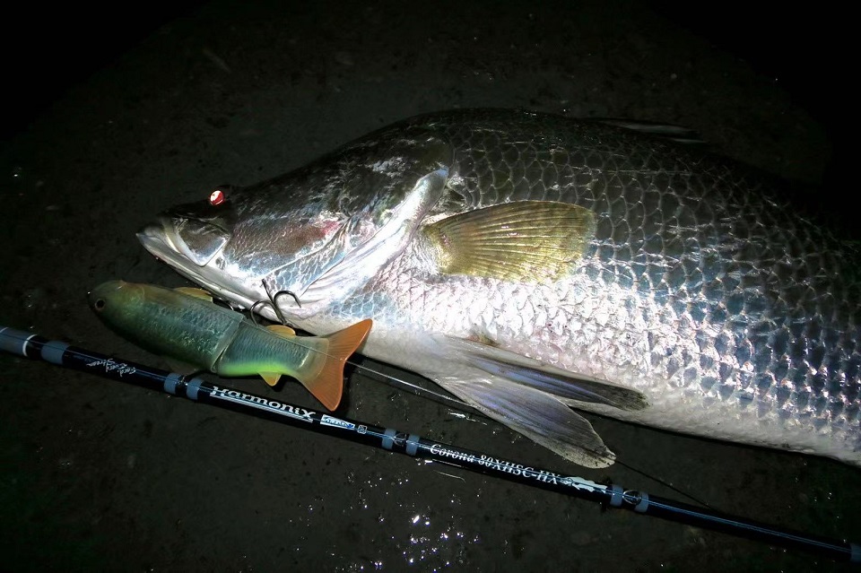 ロッド]ツララ Harmonix Corona80 XHSC-HX（ハーモニクス コローナ80