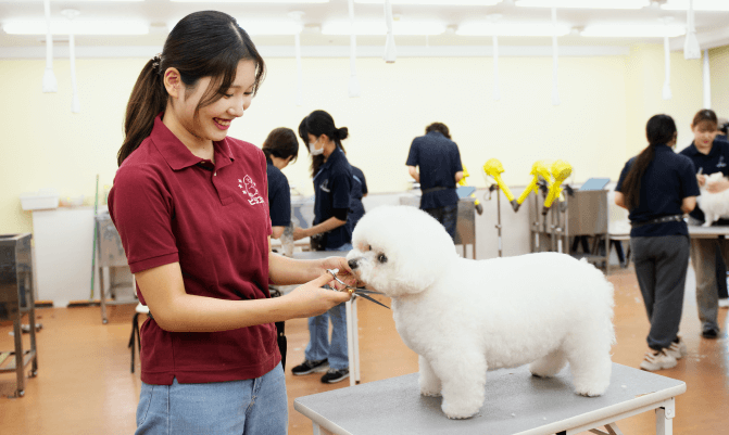 ペットビジネス学科・愛玩動物看護学科｜専門学校東京ビジネス・アカデミー